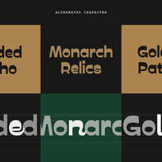 prak-trotoer-vintage-display-font-praktypes-15.jpg