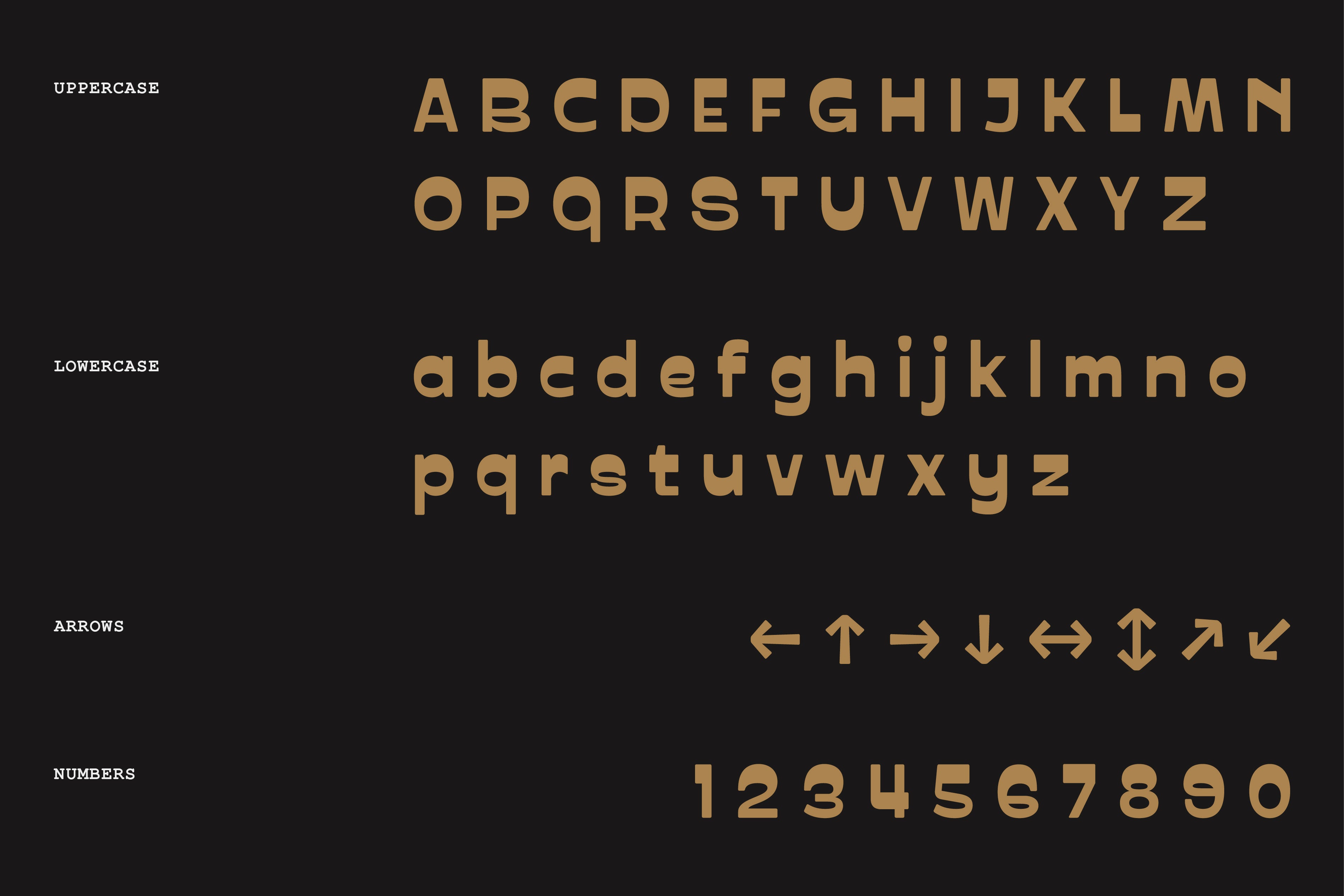 prak-trotoer-vintage-display-font-praktypes-8.jpg