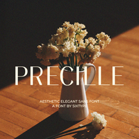 Precille Classic Modern Sans