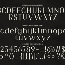 precille-classic-modern-sans-sixtysix-labs-studio-10.jpg