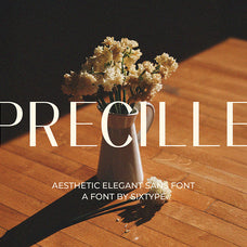 precille-classic-modern-sans-sixtysix-labs-studio-2.jpg