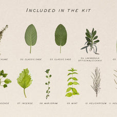 Pressed Aromatic Dry Herbs Vol.3