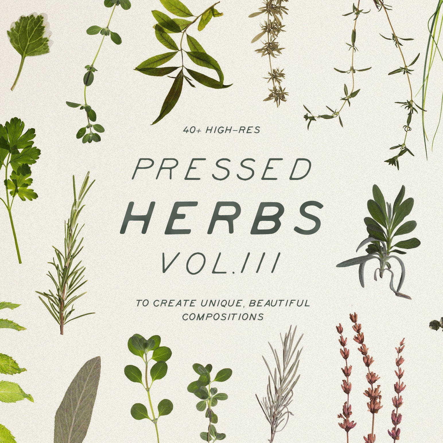 Pressed Aromatic Dry Herbs Vol.3