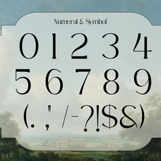 primavele-elegant-luxury-serif-font-unknown-creator-3.png