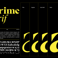 prime-serif-elegant-modern-serif-font-family-roomspace-creative-lab-10.png