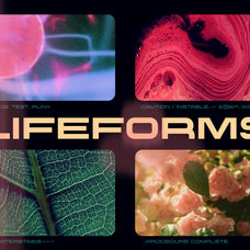 proscenium-a-wide-sans-serif-font-designed-for-cinema-wingsart-studio-12.jpg