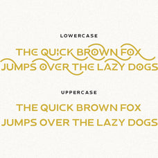 proxemic-advanced-logo-font-sarid-ezra-7.jpg