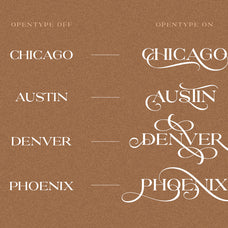 proyale-elegant-stylish-serif-unknown-creator-6.jpg