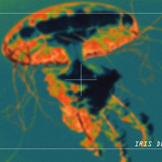 Psychedelic Texture Kit