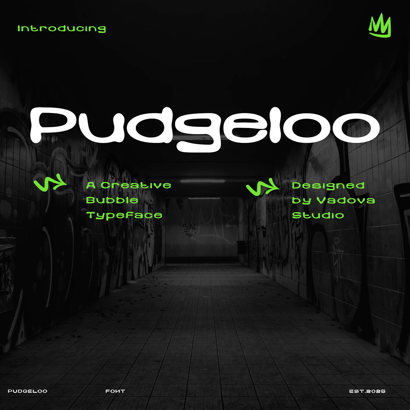 pudgeloo-creative-bubble-typeface-font-vadova-studio-1.jpg