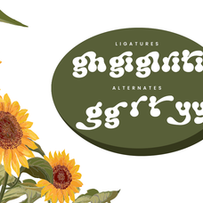 puffy-chips-groovy-bubble-font-say-studio-13.png
