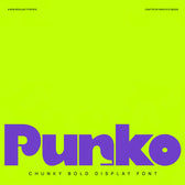 Punko Chunky Bold Display Font