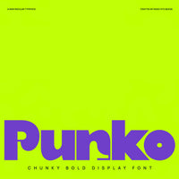 Punko Chunky Bold Display Font