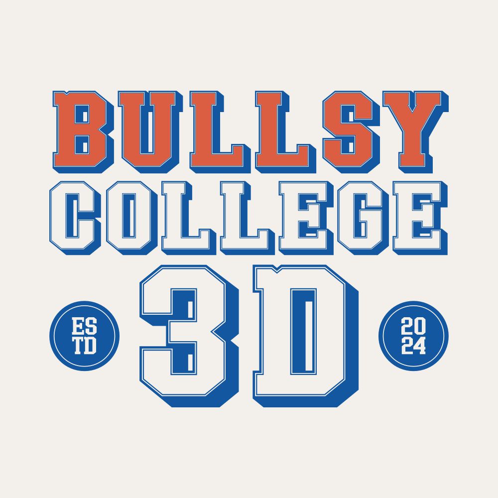 Bullsy College 3D