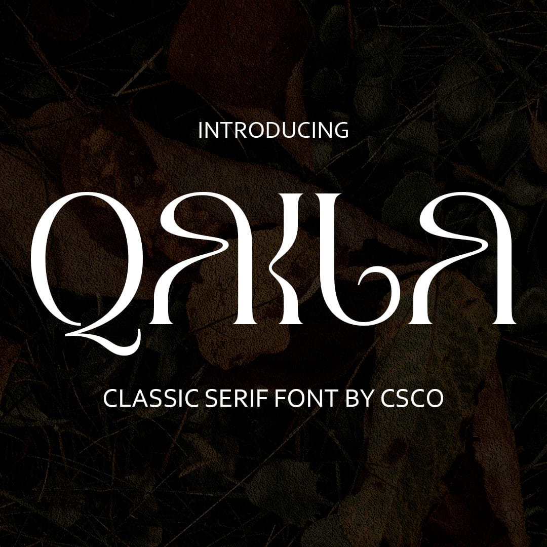 qaila-serif-typeface-craft-supply-co-1.jpg