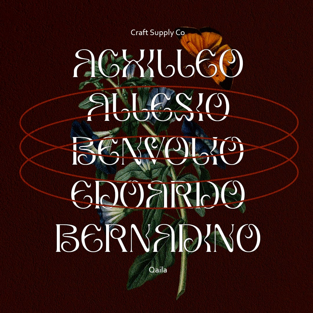 qaila-serif-typeface-craft-supply-co-4.jpg