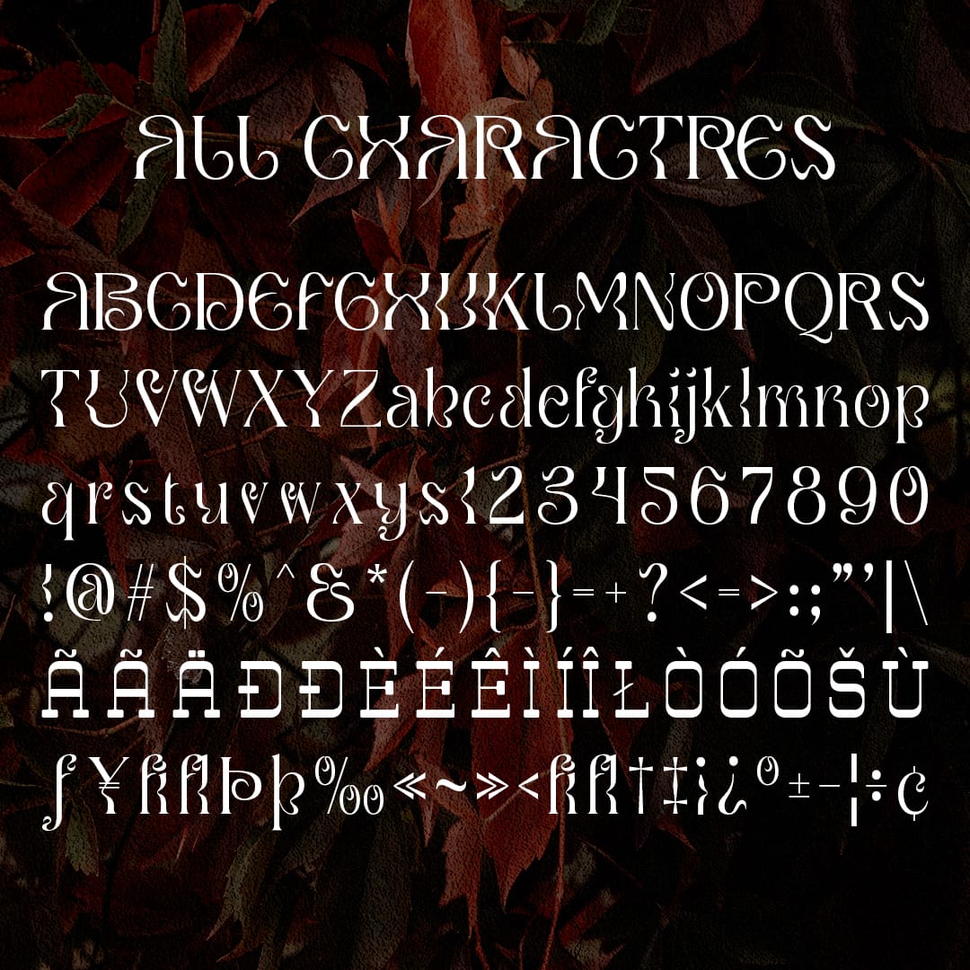 qaila-serif-typeface-craft-supply-co-8.jpg