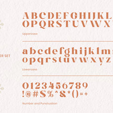 qegafy-modern-serif-font-catalystco-studio-2.jpg
