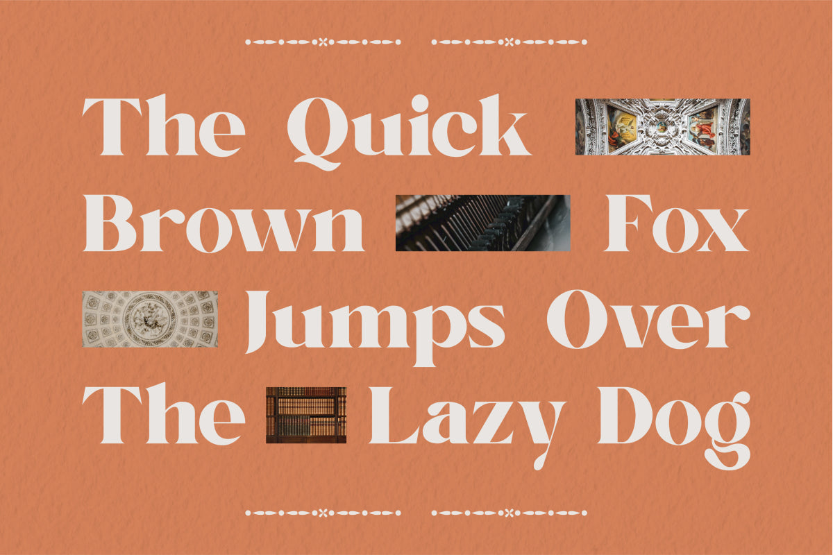 qegafy-modern-serif-font-catalystco-studio-3.jpg