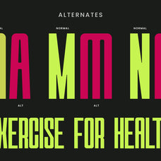 quaron-condensed-bold-serif-font-roomspace-creative-lab-3.jpg