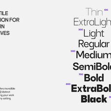 qubic-grid-corporate-grotesk-variable-royal-casloop-studio-4.jpg