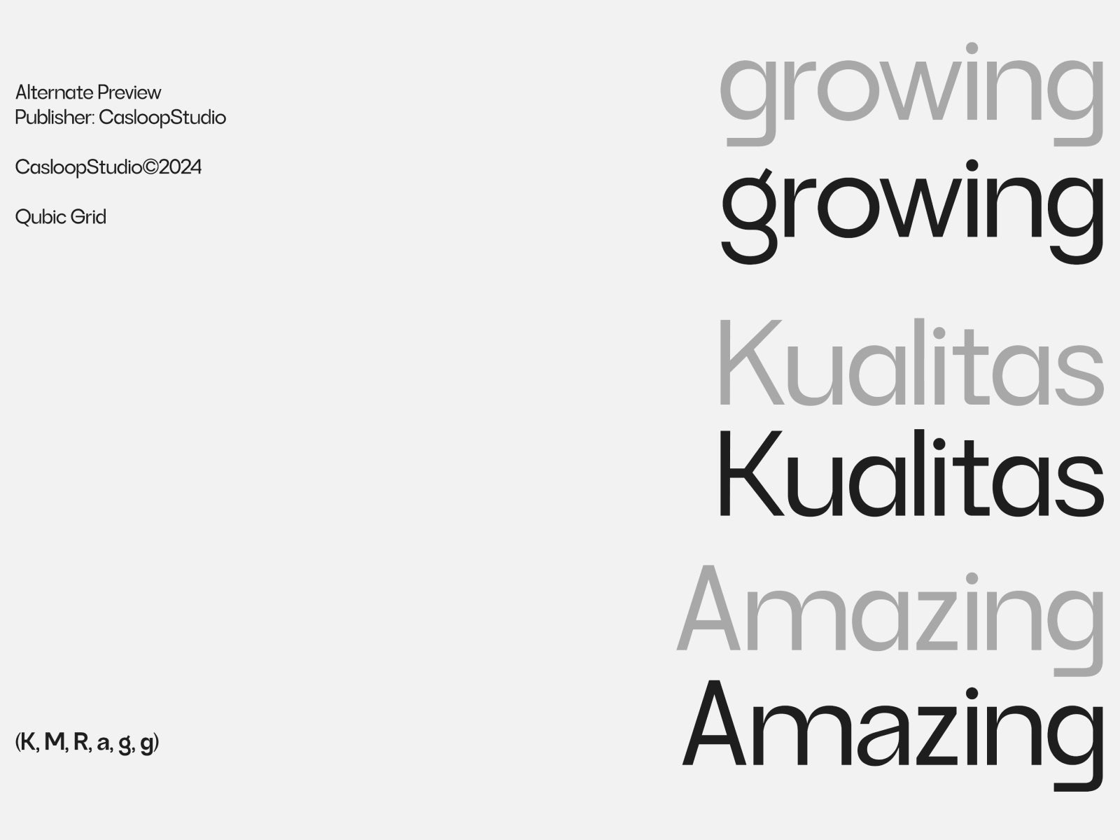 qubic-grid-corporate-grotesk-variable-royal-casloop-studio-9.jpg