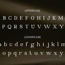 queenia-modern-serif-font-vadova-studio-2.jpg