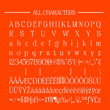 quenza-modern-serif-craft-supply-co-8.jpg