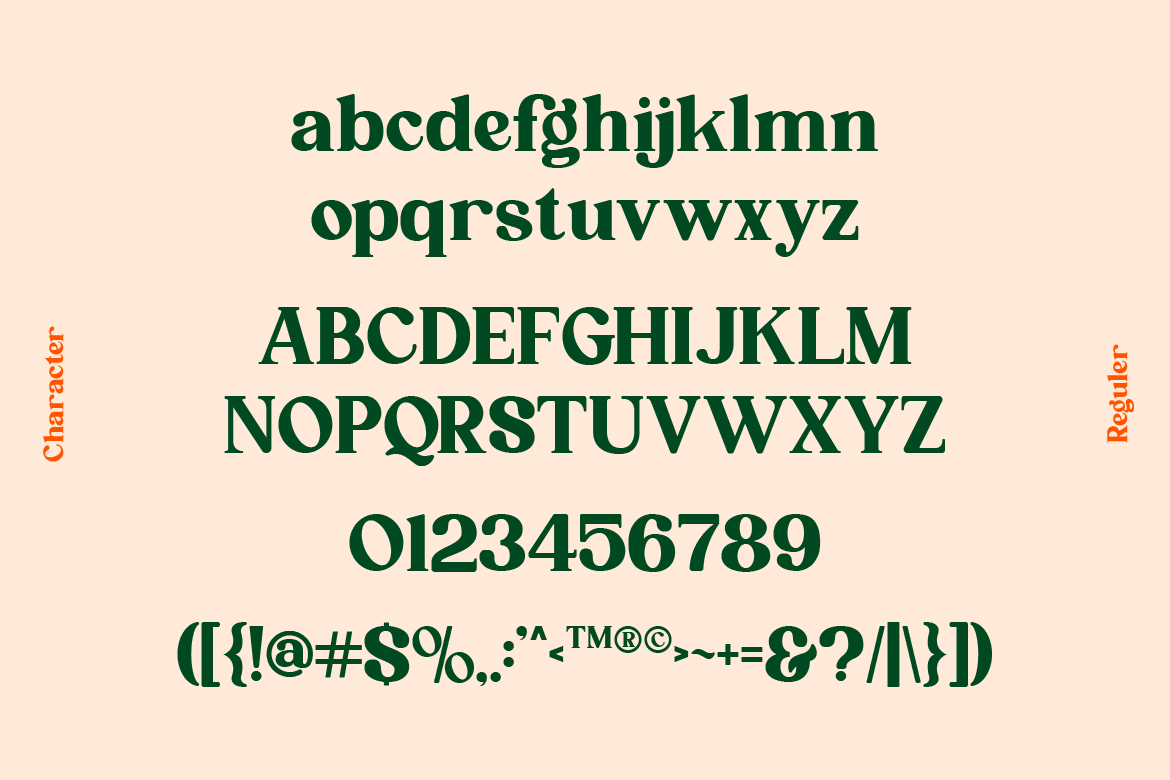 qufego-beautiful-stylish-serif-font-catalystco-studio-2.png