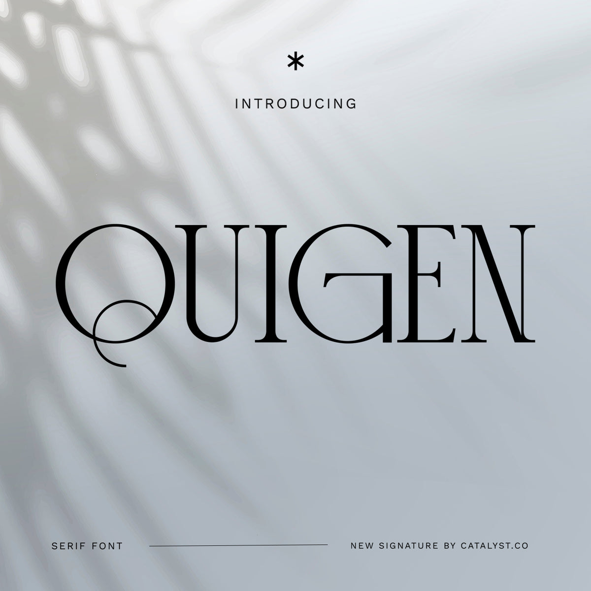 quigen-serif-font-unknown-creator-1.jpg