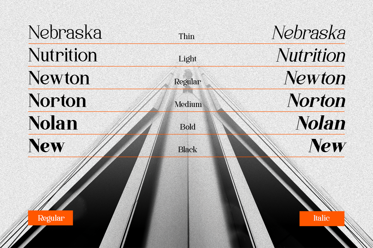 quinela-luxury-serif-family-with-6-weights-say-studio-3.png