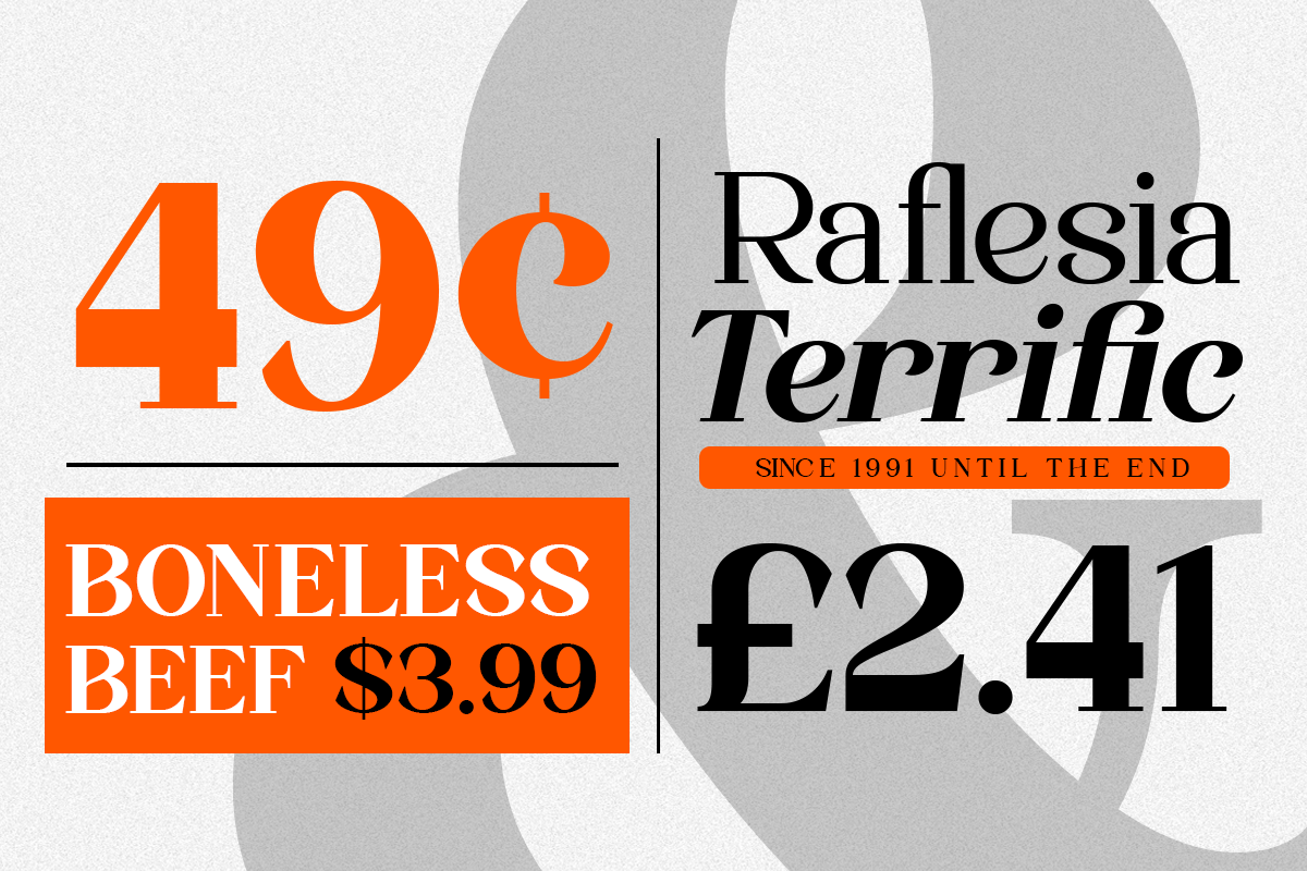 quinela-luxury-serif-family-with-6-weights-say-studio-9.png