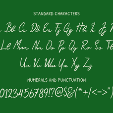 quintessa-handwritten-script-font-catalystco-studio-10.png