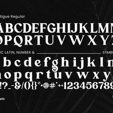 qustigue-serif-font-catalystco-studio-2.jpg