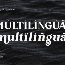 qustigue-serif-font-catalystco-studio-3.jpg