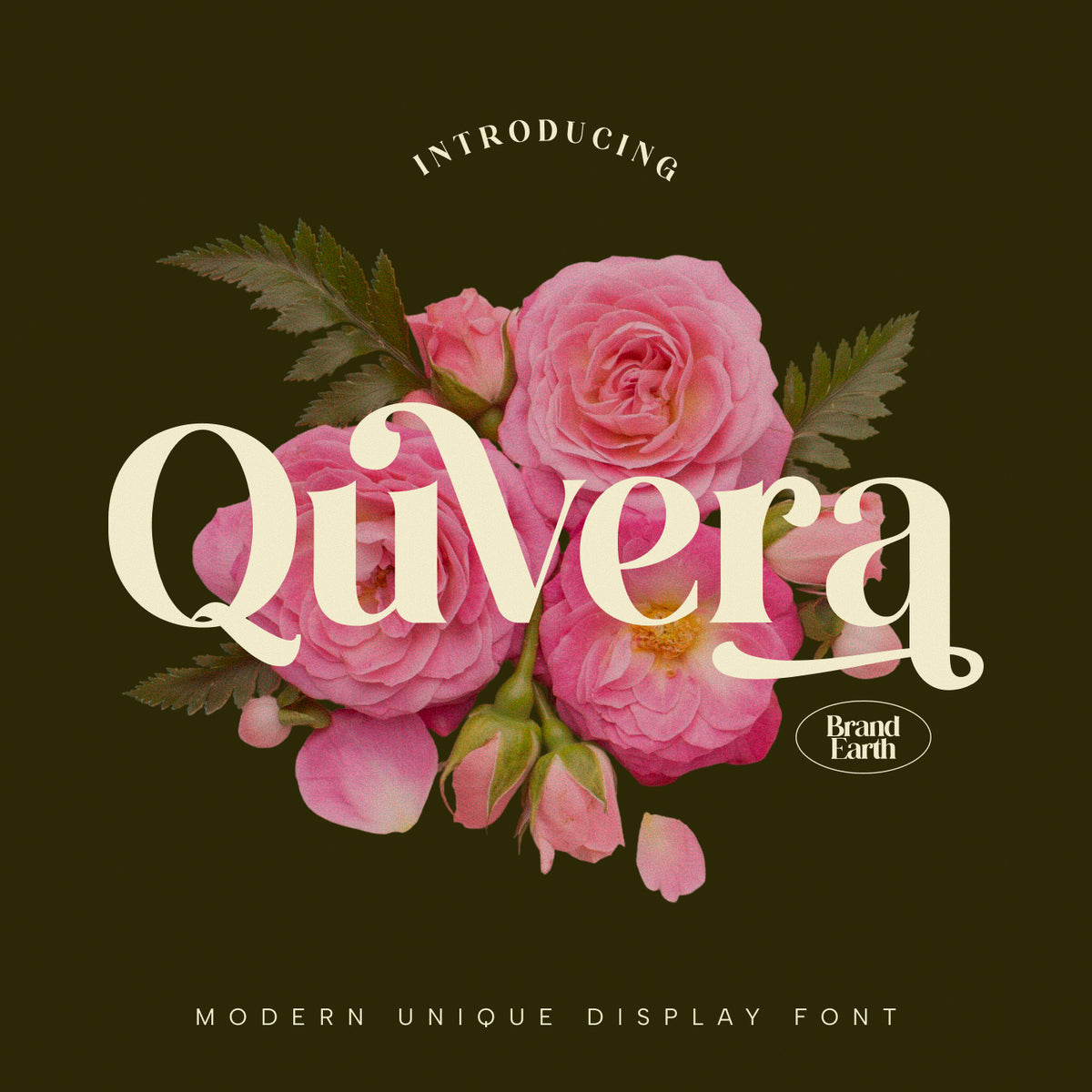 quvera-modern-unique-display-font-brandearth-studio-1.jpg