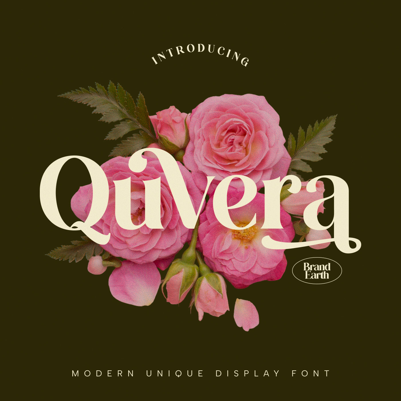quvera-modern-unique-display-font-brandearth-studio-1.jpg