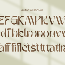 raftel-modern-aesthetic-sans-serif-font-unknown-creator-12.png
