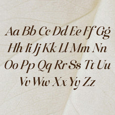 raillouise-stylish-script-font-unknown-creator-12.jpg