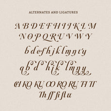 raillouise-stylish-script-font-unknown-creator-14.jpg