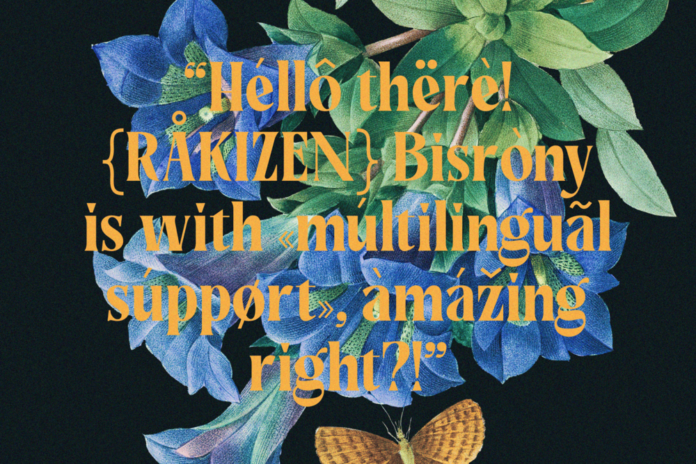 rakizen-bisrony-modern-classic-serif-font-enxyclo-studio-19.png