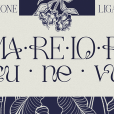ralmone-modern-display-serif-font-rasio-std-5.png