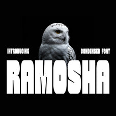 ramosha-bold-condensed-font-unknown-creator-1.jpg
