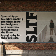 Ranfit - Bold & Funky Serif Font