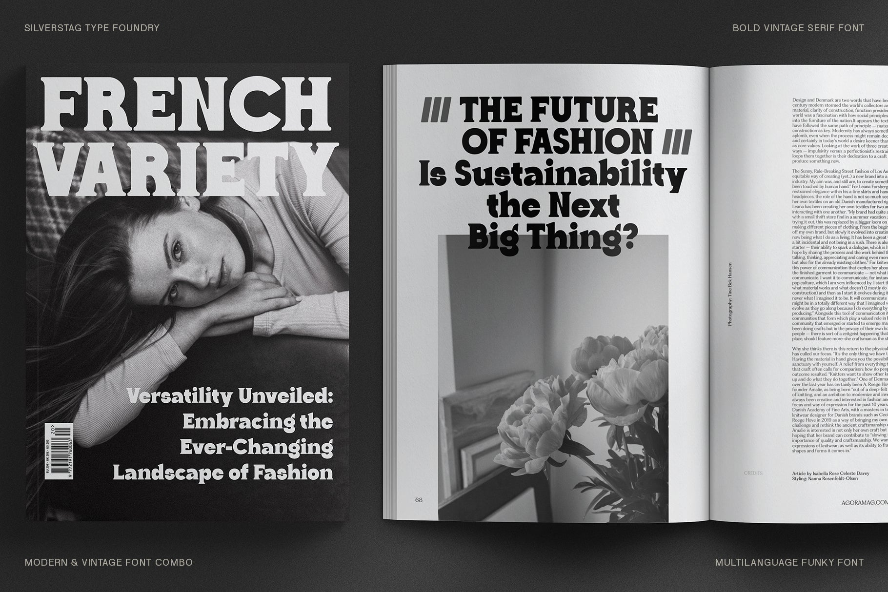 Ranfit - Bold & Funky Serif Font