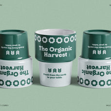 Ranfit - Bold & Funky Serif Font