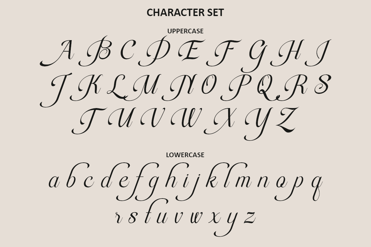 rapiola-elegant-script-font-calligraphy-wedding-font-say-studio-12.png