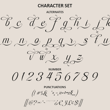 rapiola-elegant-script-font-calligraphy-wedding-font-say-studio-13.png