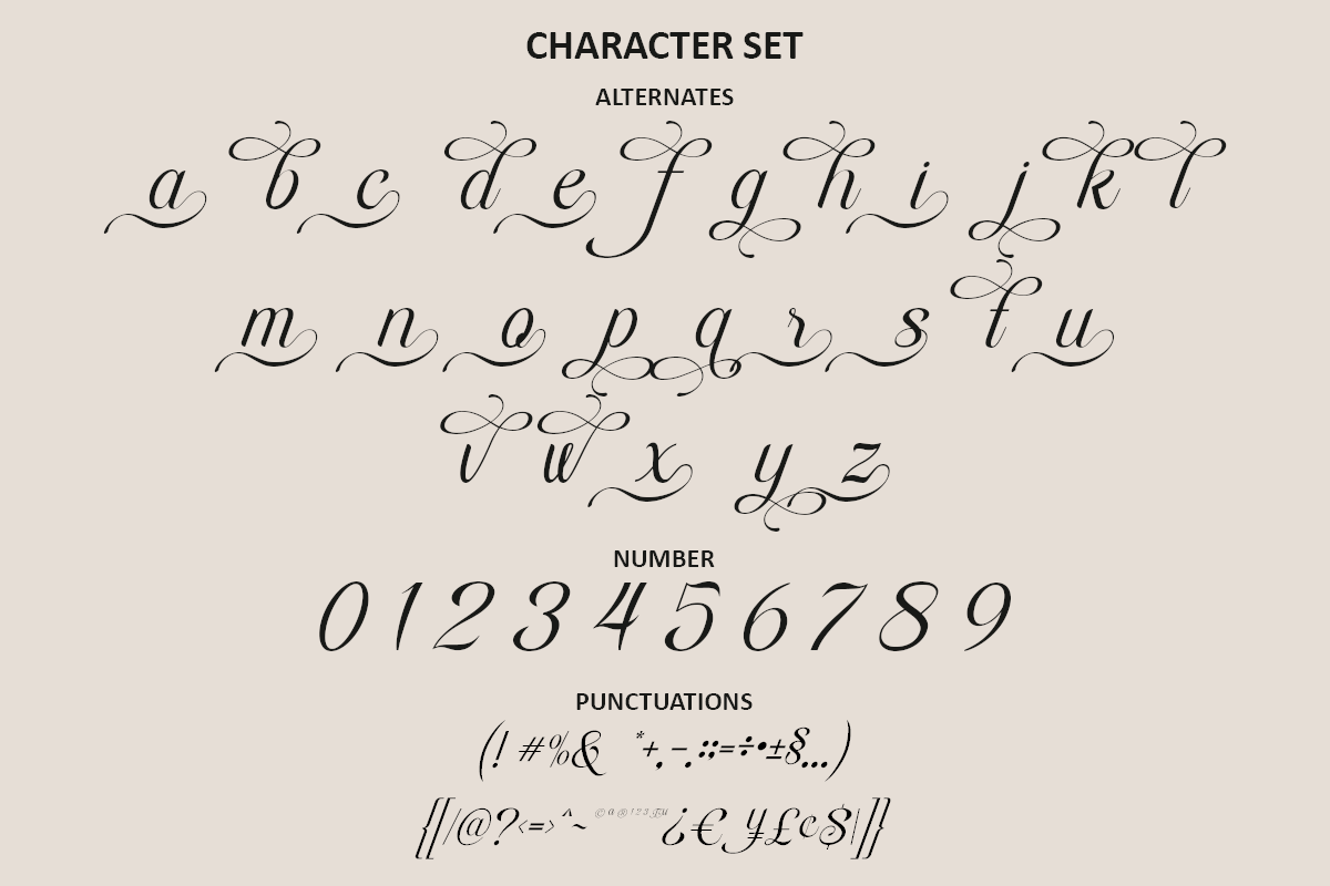 rapiola-elegant-script-font-calligraphy-wedding-font-say-studio-13.png