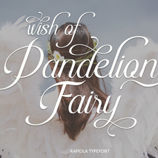 rapiola-elegant-script-font-calligraphy-wedding-font-say-studio-2.png
